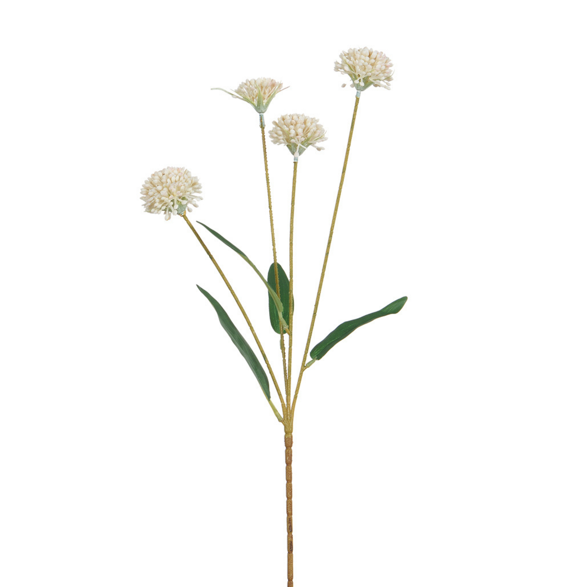 sia-noah-tige-chrysanth-me-ping-pong-60-cm-blanc-rose-violet image 1