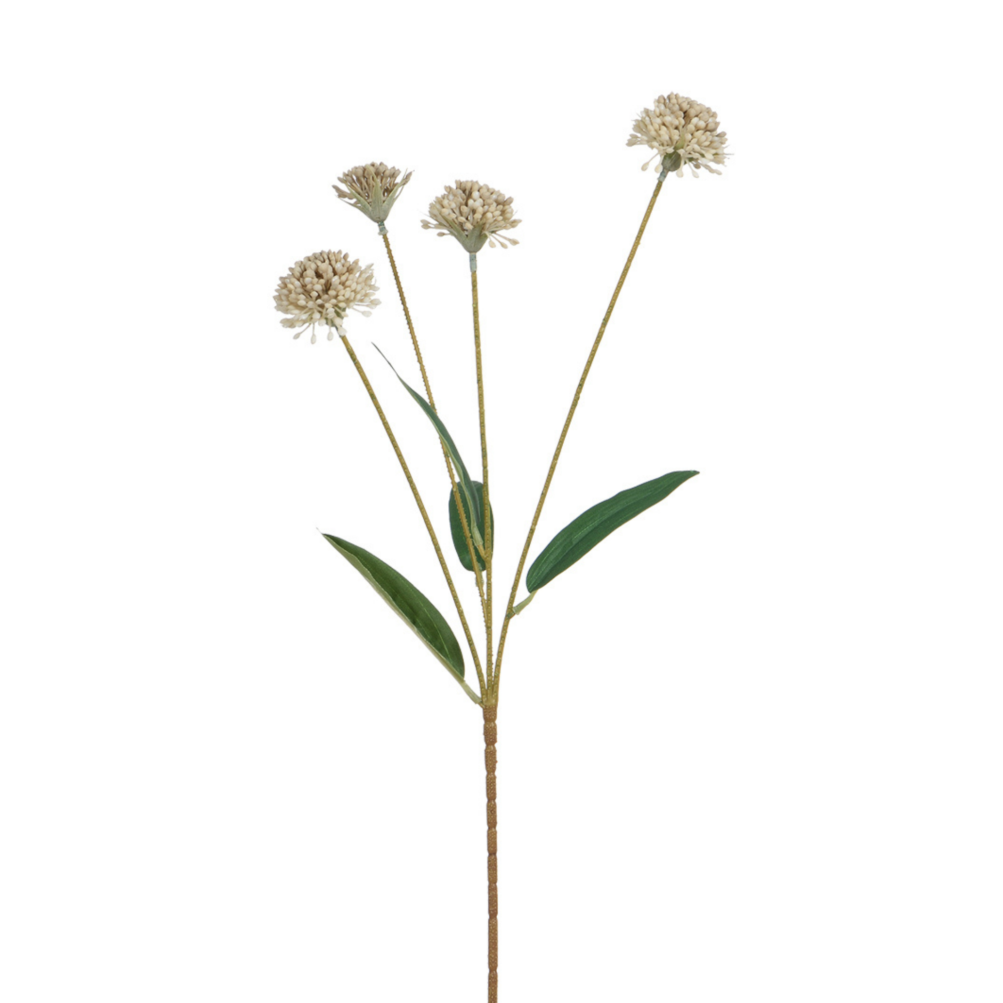 sia-noah-tige-chrysanth-me-ping-pong-60-cm-blanc-rose-violet image 7