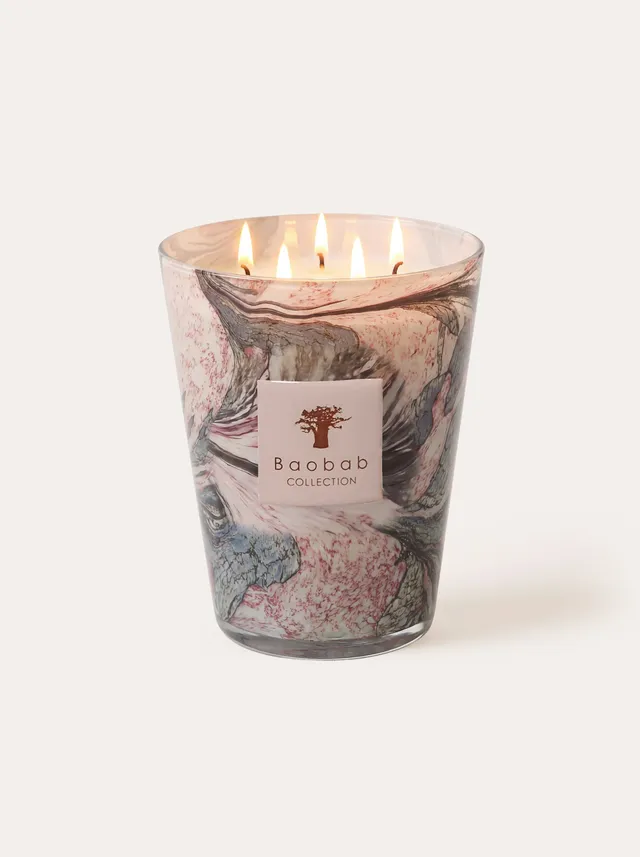 baobab-collection-leaves-manon-bougie-parfum-e-classique image 1