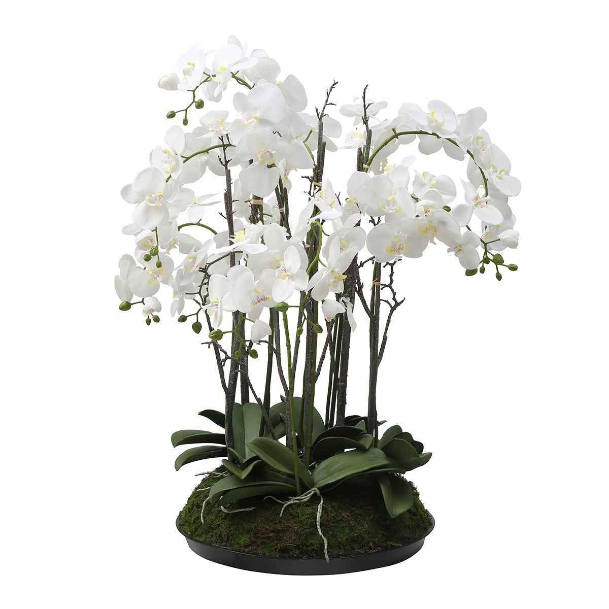 sia-deco-noah-composition-orchid-e-artificielle-blanc-90-cm image 1