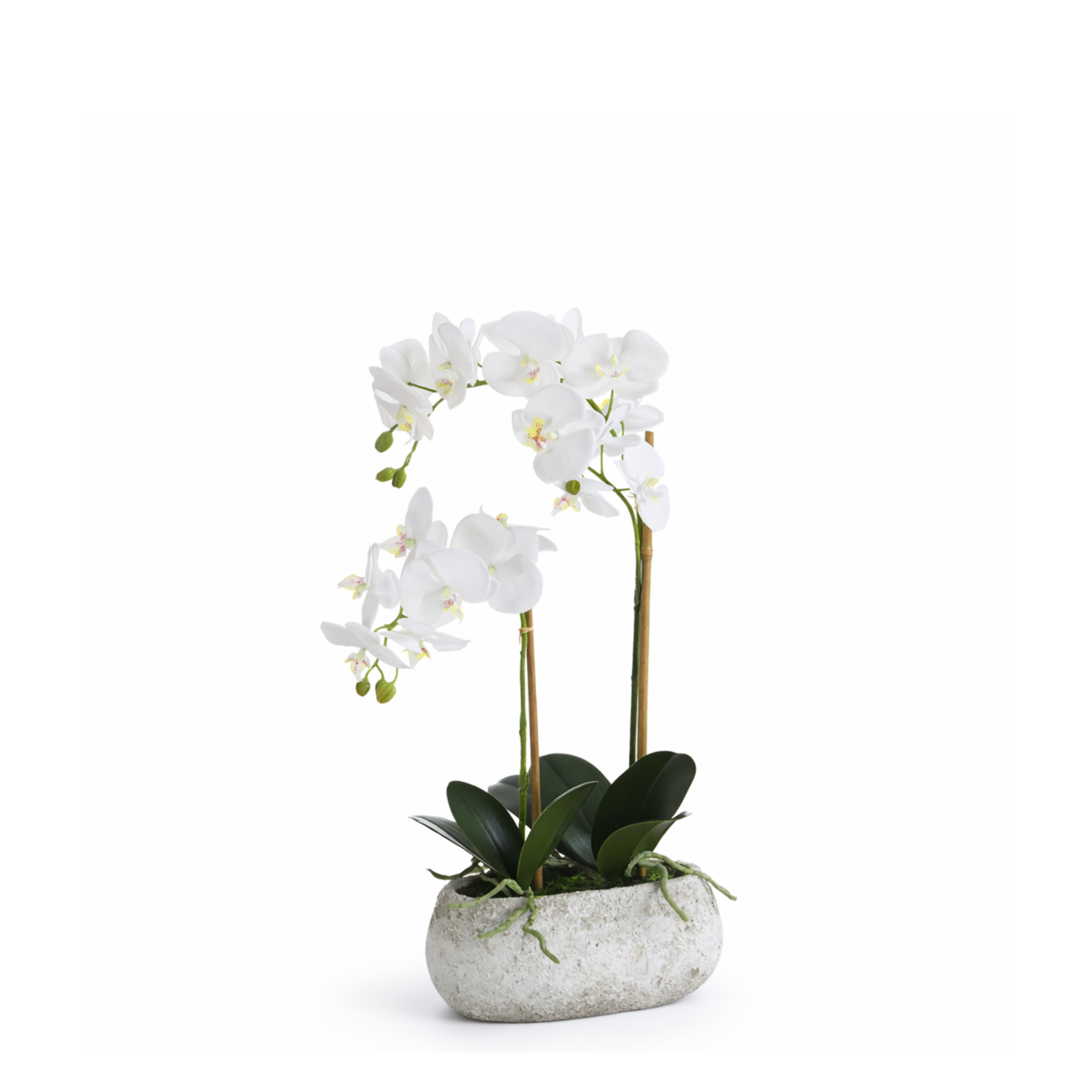 sia-deco-noah-s-r-na-orchid-e-artificielle-blanc-pot-65-cm image 1