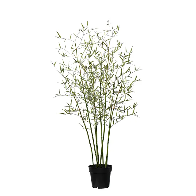 sia-deco-noah-arbre-bambou-en-pot-125-cm-vert image 1