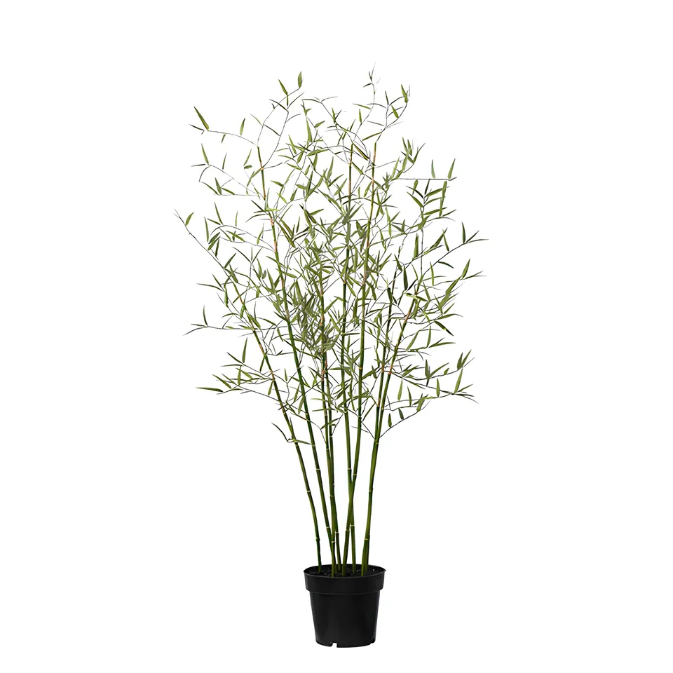 sia-deco-noah-arbre-bambou-en-pot-125-cm-vert image 1