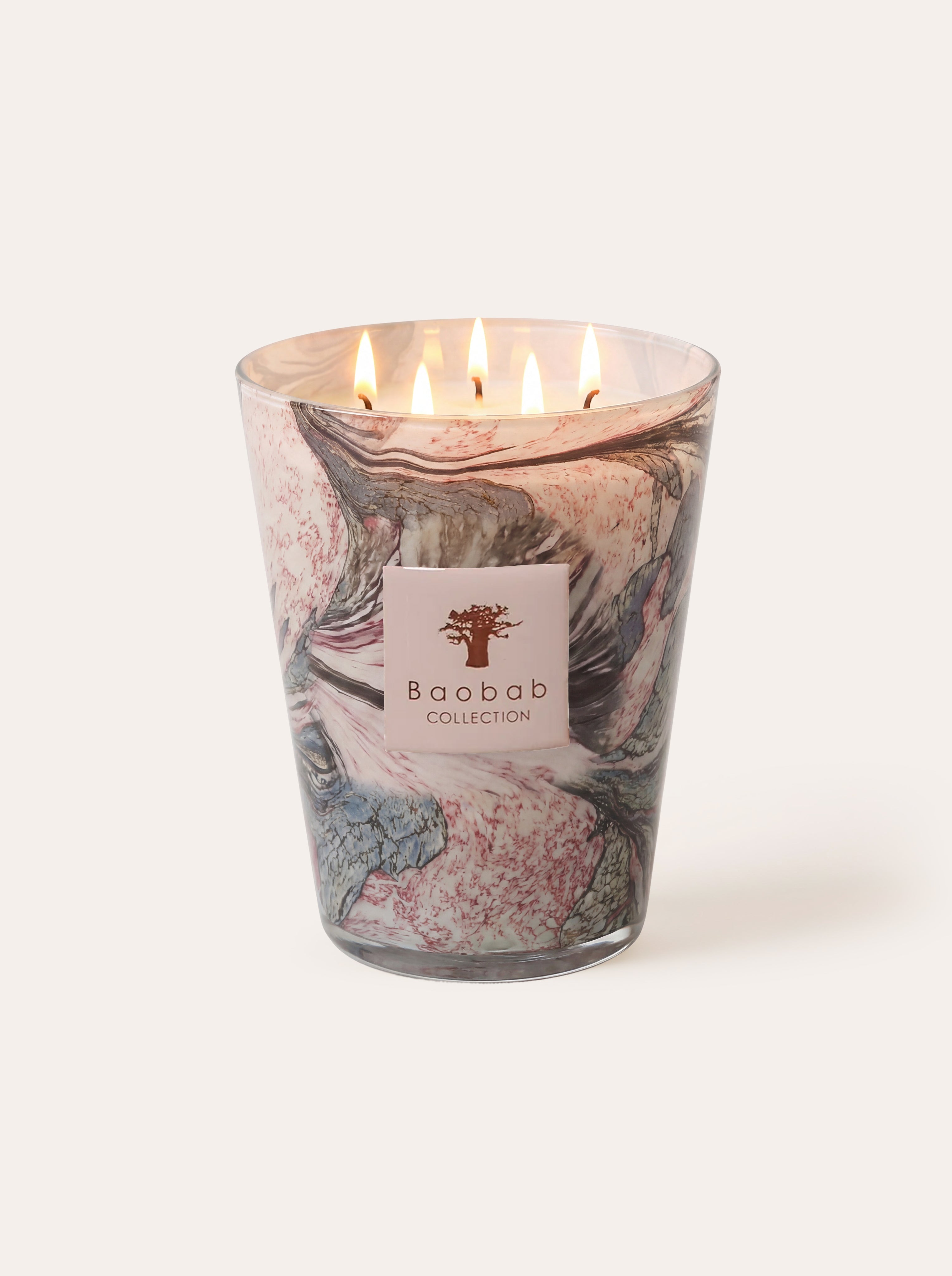 baobab-collection-leaves-manon-bougie-parfum-e-classique image 1