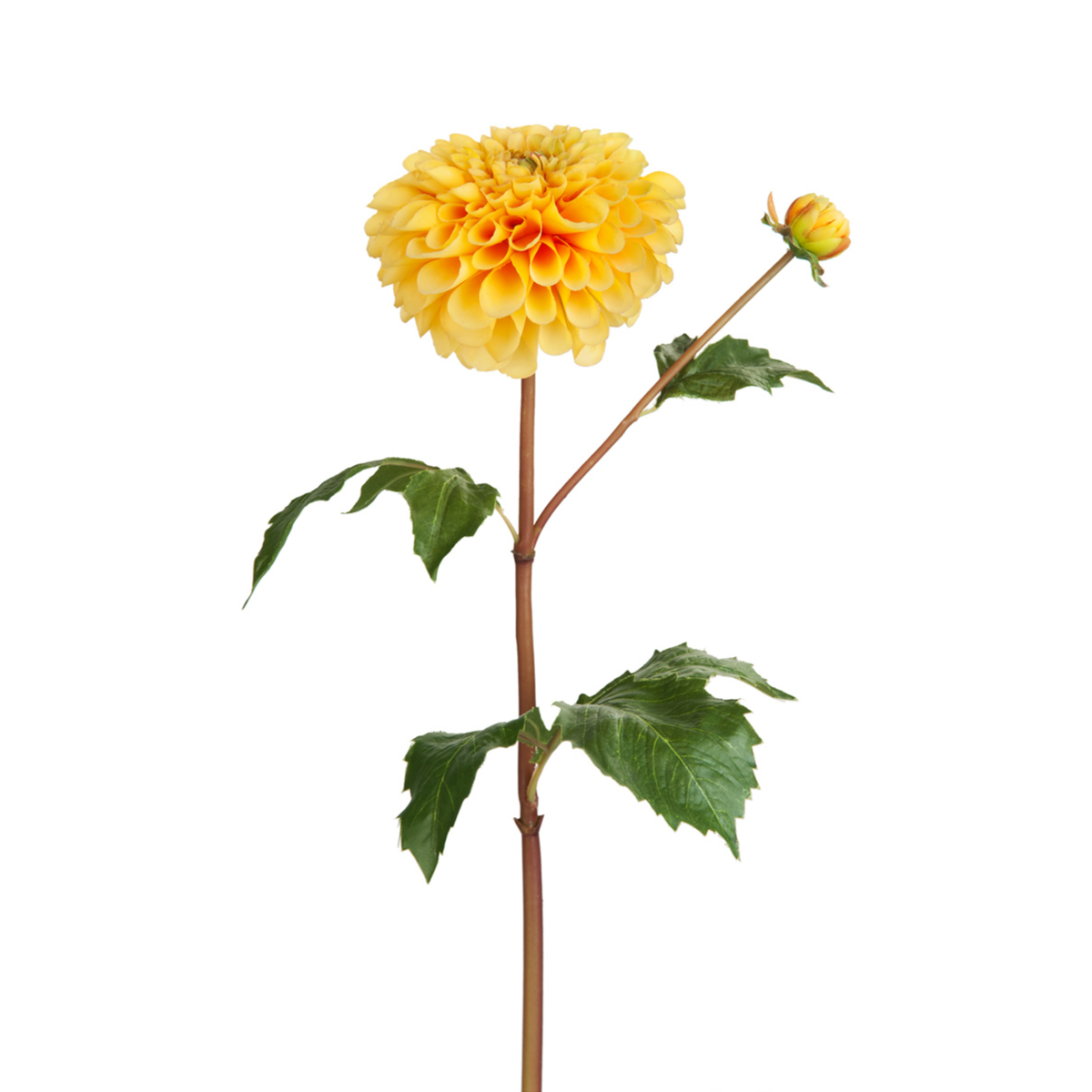 sia-noah-tige-dahlia-fleur-artificielle-orange-50-cm image 6