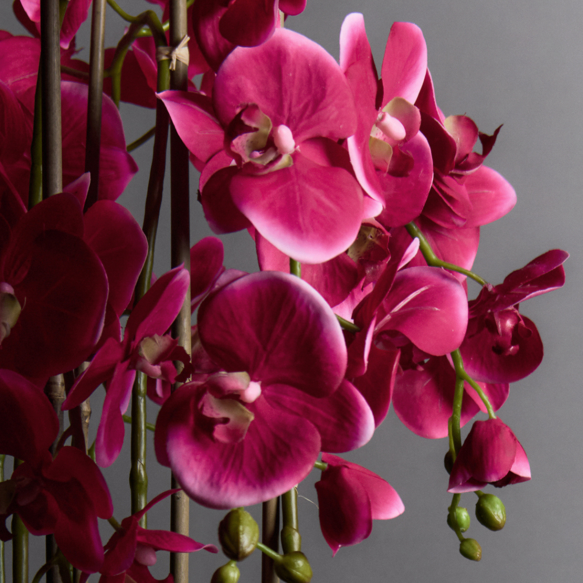 sia-deco-noah-orchid-e-artificielle-blanc-58-cm-pot-verre image 7