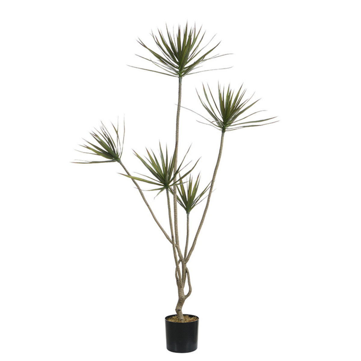 sia-deco-noah-cordyline-arbre-artificiel-vert-180-cm-en-pot image 1