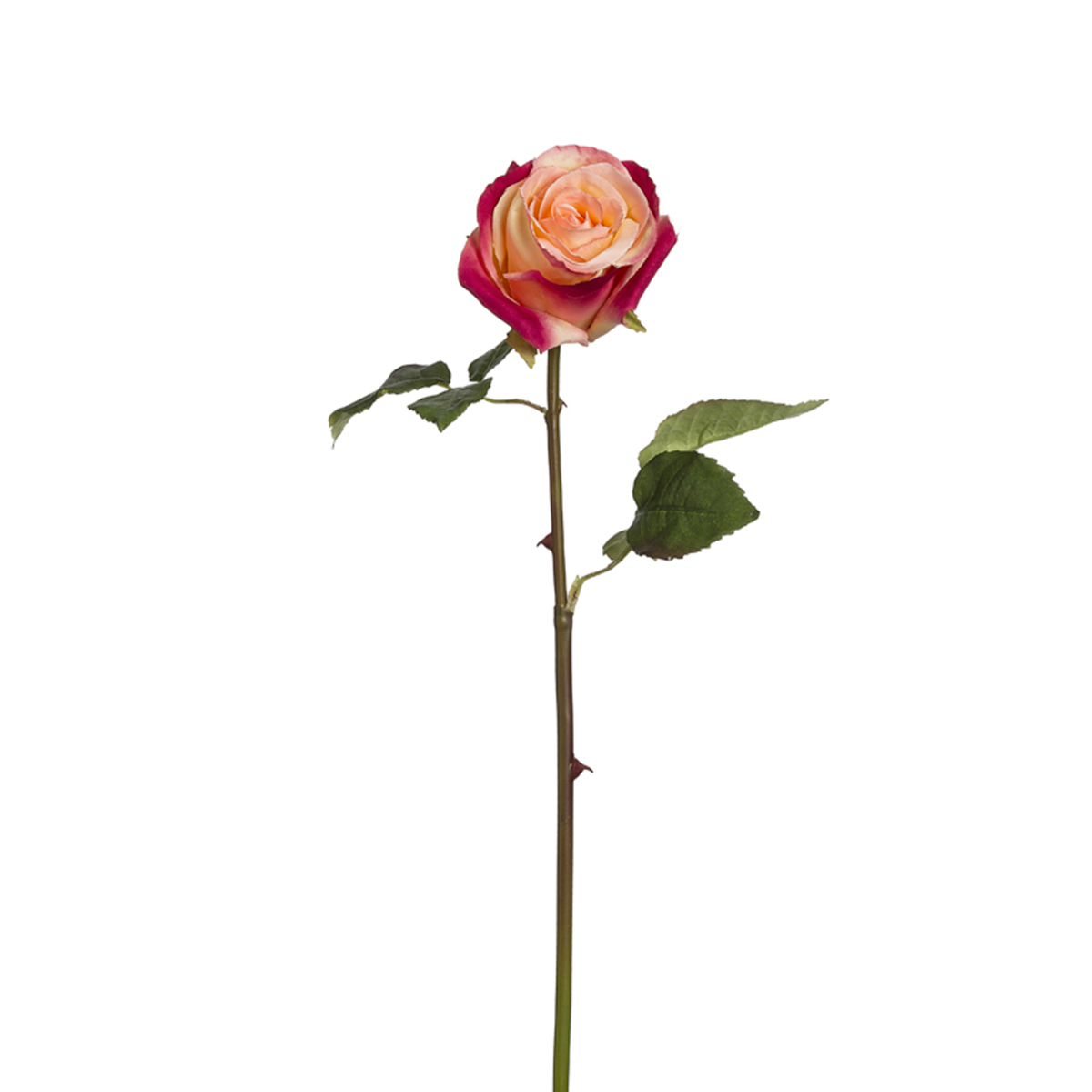 sia-noah-diane-tige-rose-artificielle-53cm-cr-me image 7