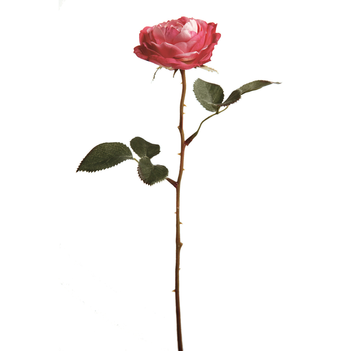 sia-deco-noah-rose-tea-33-cm-fleur-artificielle-jaune image 6
