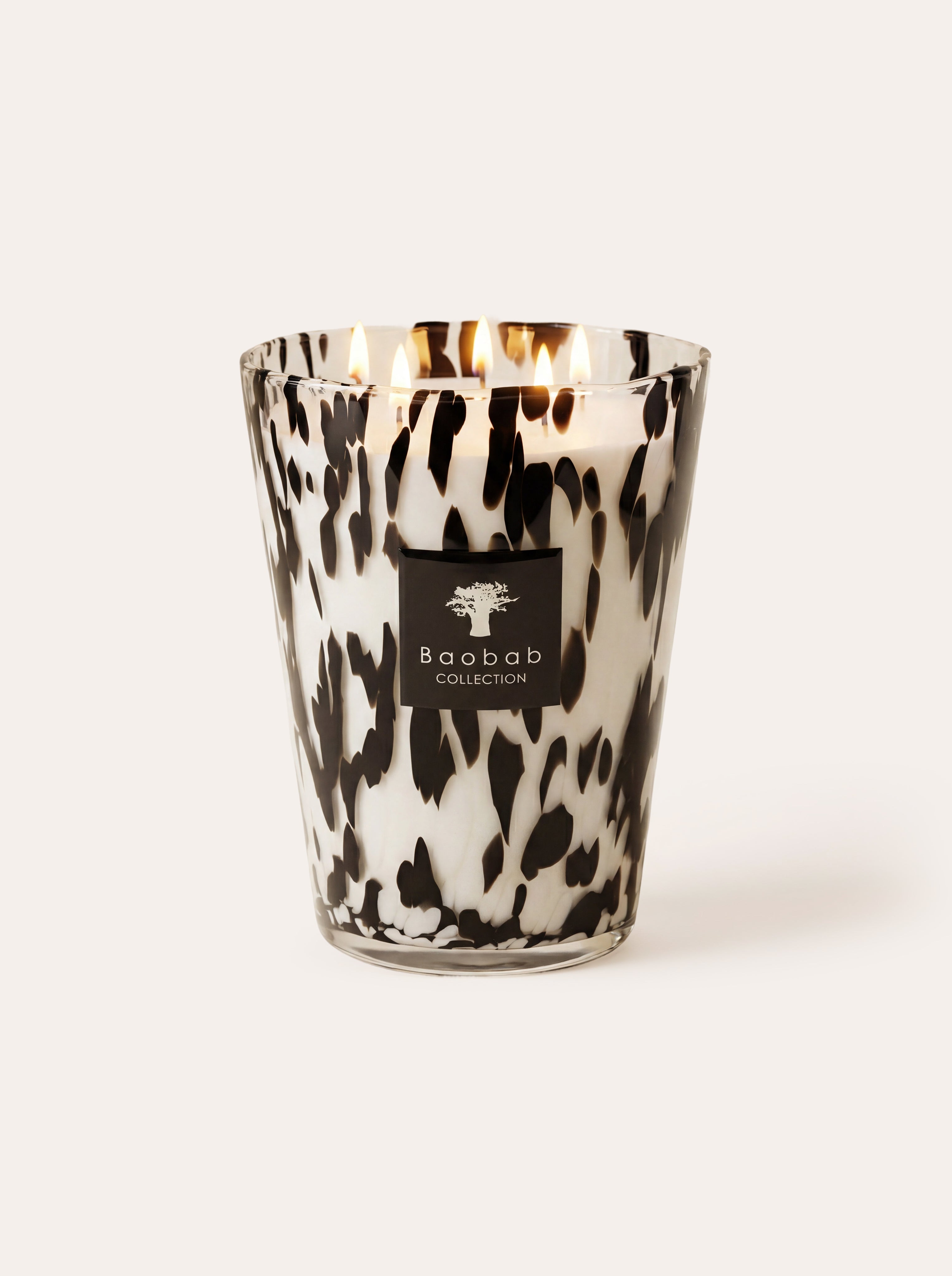 baobab-collection-pearls-black-bougie-parfum-e-petite-verre-noir image 6