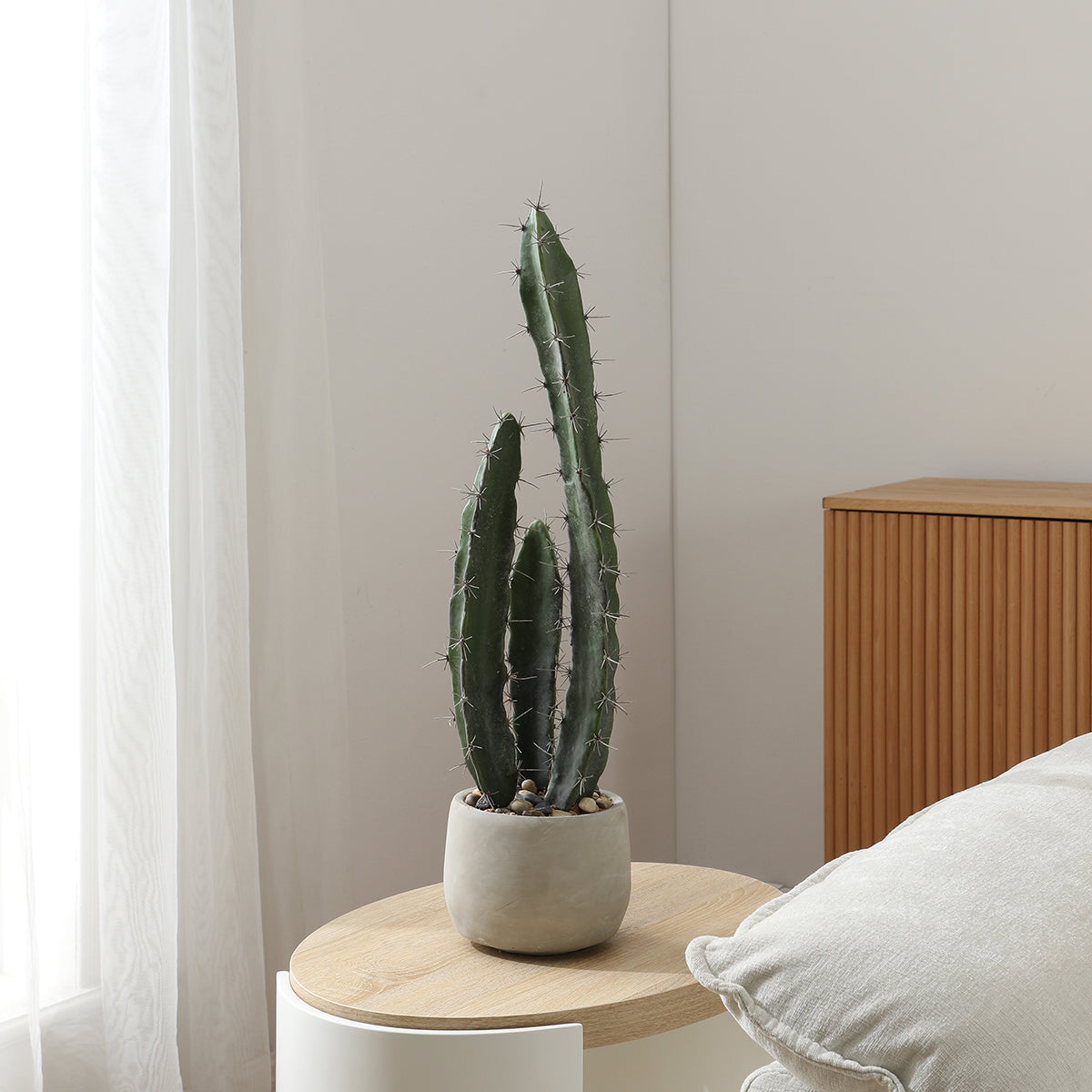 sia-deco-noah-cactus-plante-artificielle-vert-64-cm-pot-gris image 2