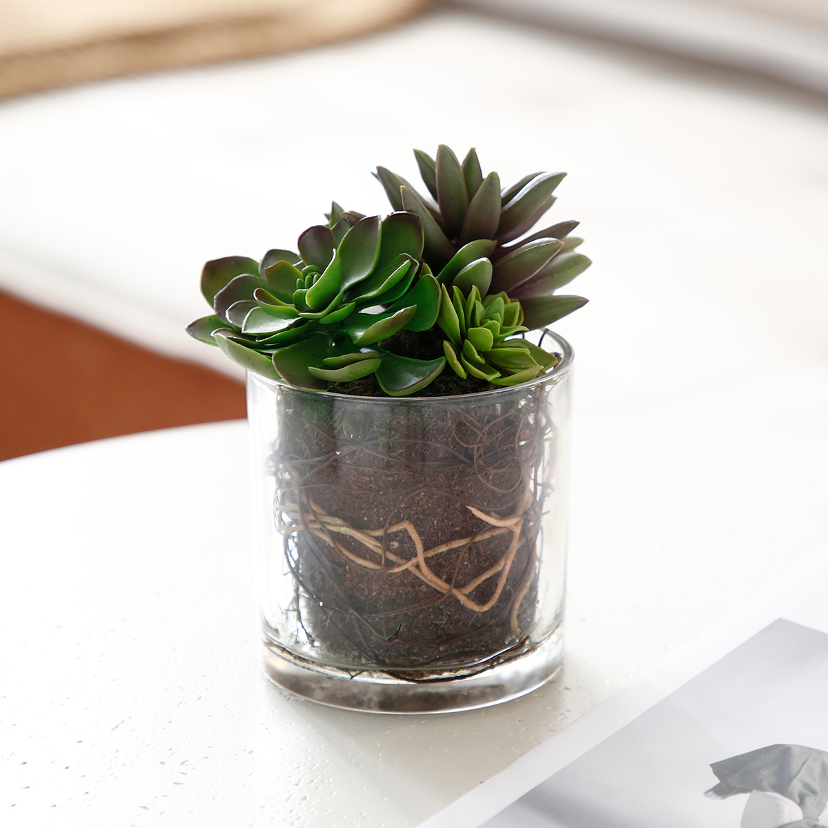 sia-noah-composition-succulentes-vase-transparent-vert image 2