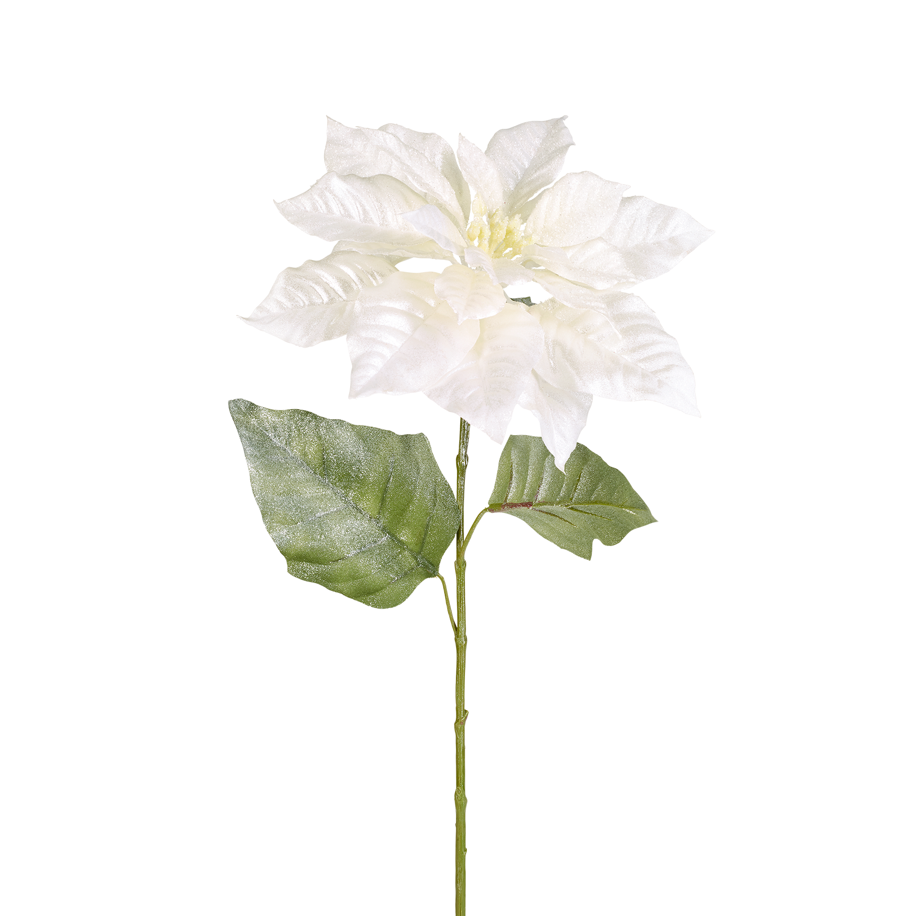 sia-noah-poinsettia-tige-fleur-dor-e-80-cm image 4