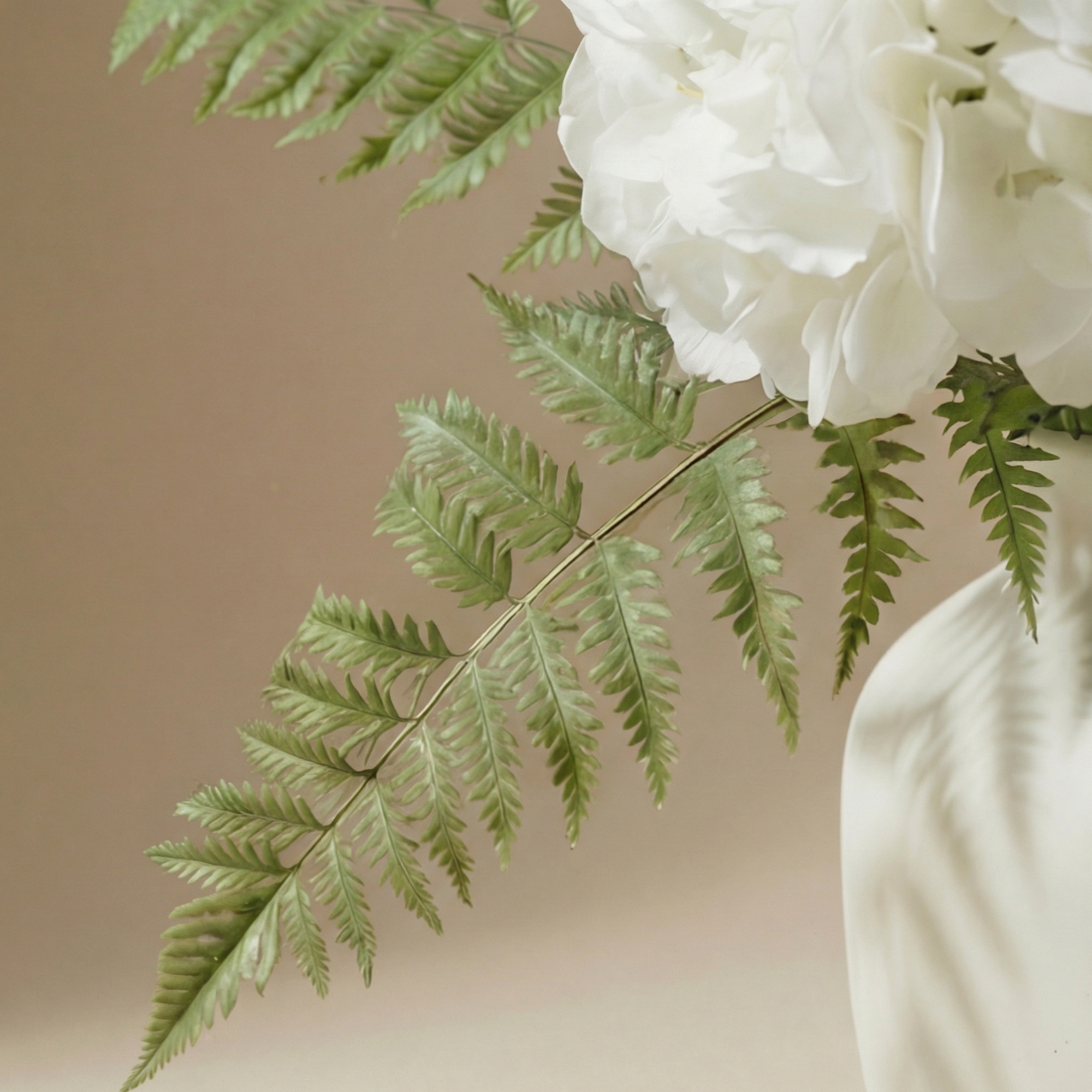 sia-noah-vireya-bouquet-hortensias-blanc-vert-6-tiges image 4