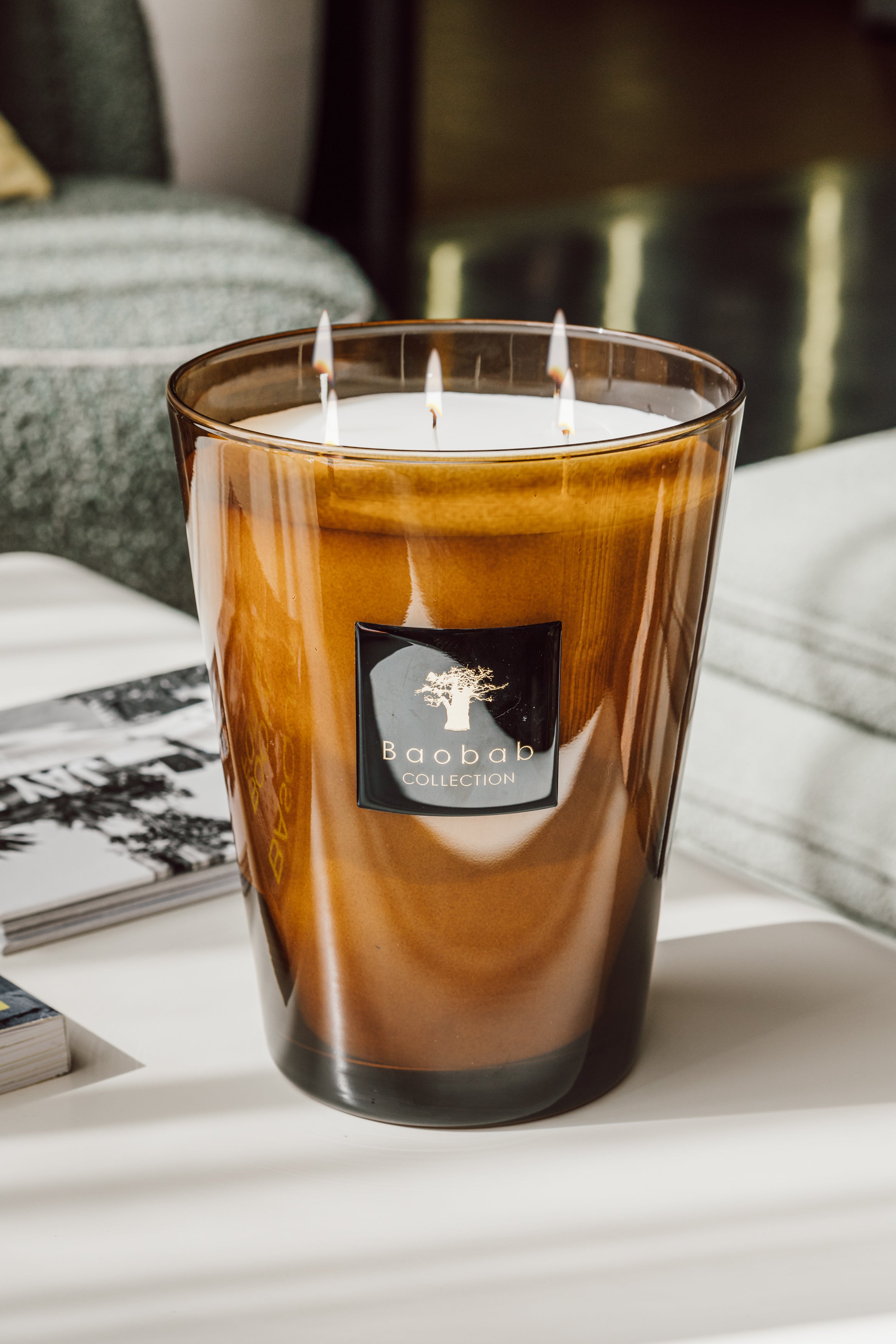 baobab-collection-les-prestigieuses-cuir-de-russie-bougie-classique image 3