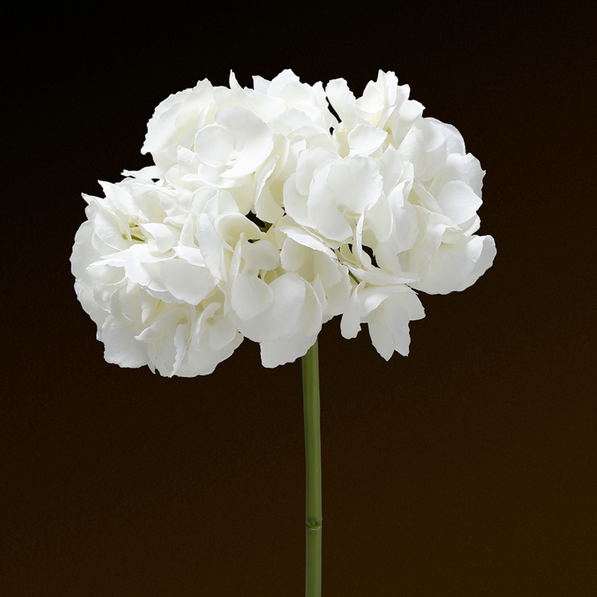 sia-noah-tige-hortensia-premium-bleu-48-cm image 2