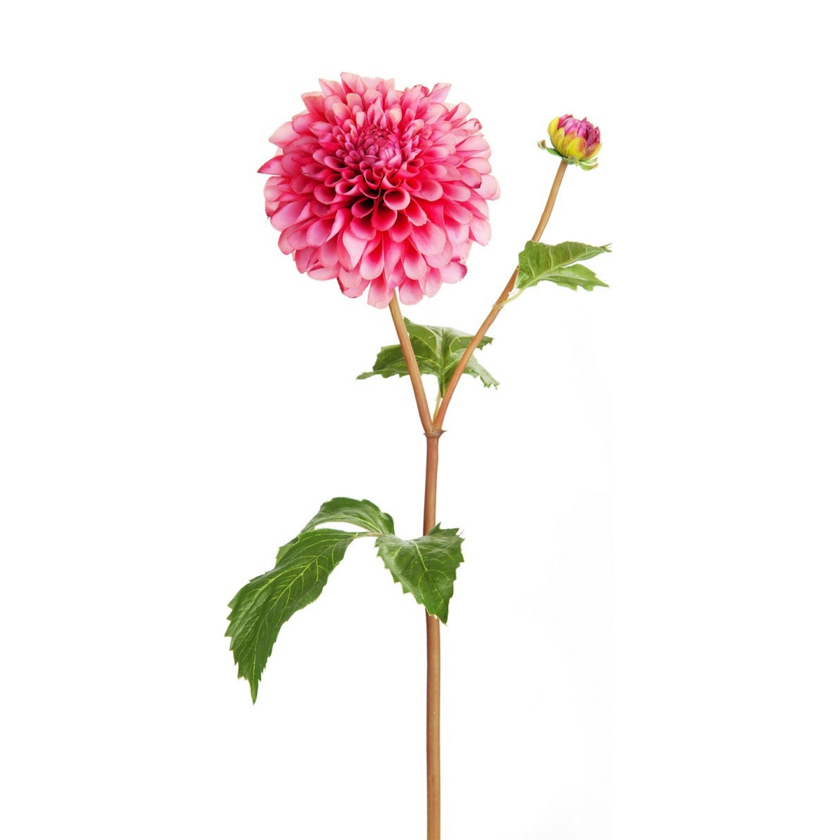 sia-noah-tige-dahlia-fleur-artificielle-orange-50-cm image 4
