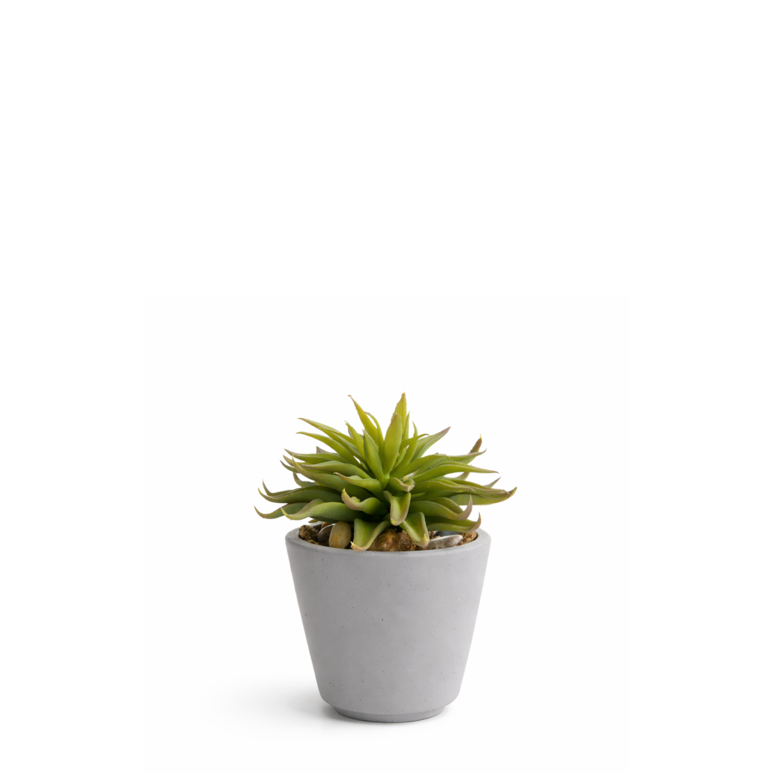 sia-deco-noah-maya-succulente-artificielle-vert-pot-18-cm image 1