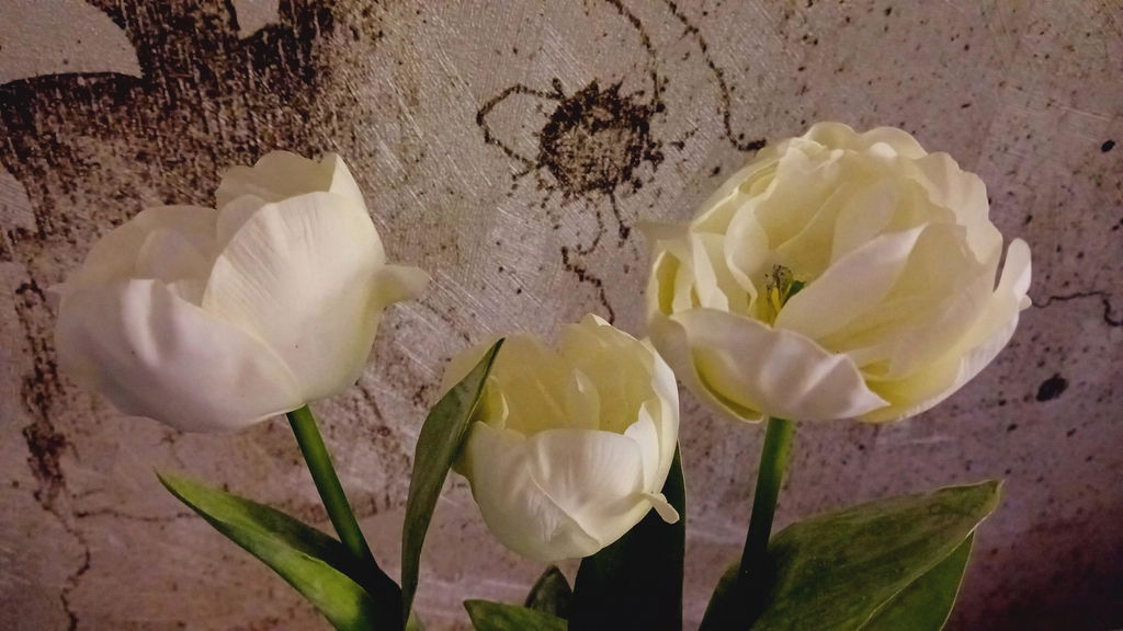 Blanc doux