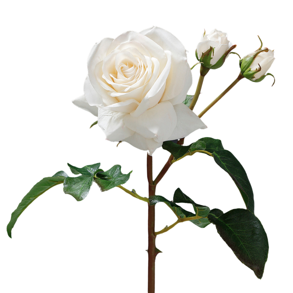 sia-deco-noah-tige-de-rose-artificielle-premium-56-cm-rouge image 6