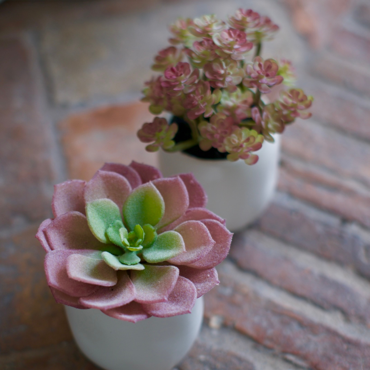 sia-deco-noah-succulente-en-pot-plante-artificielle-orange-vert-12-cm image 3