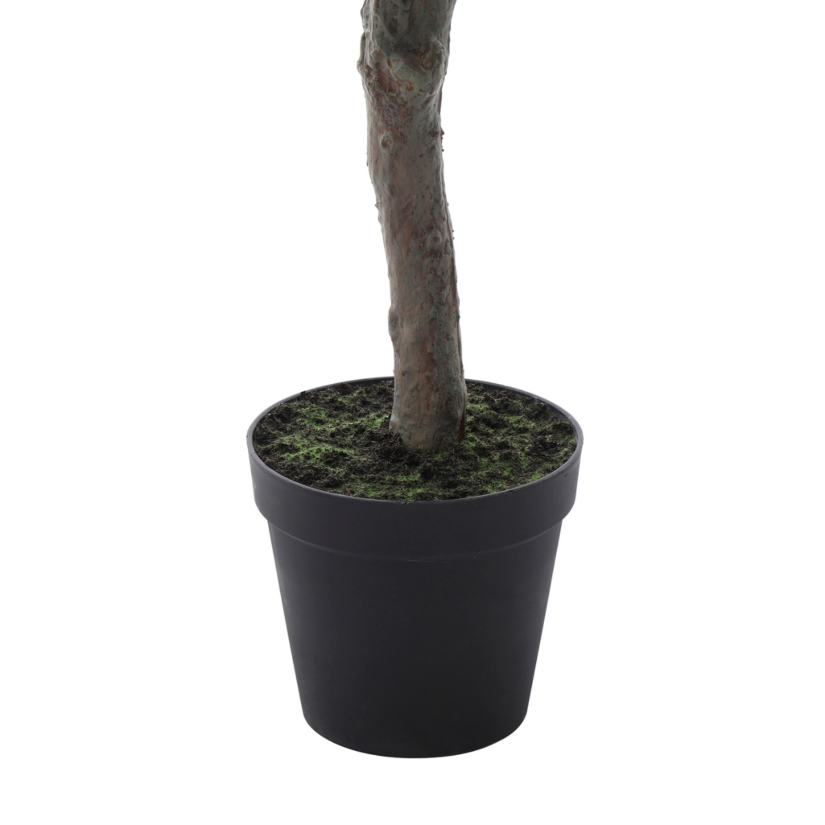 sia-deco-noah-cerisier-en-fleurs-pot-rose-210-cm image 5