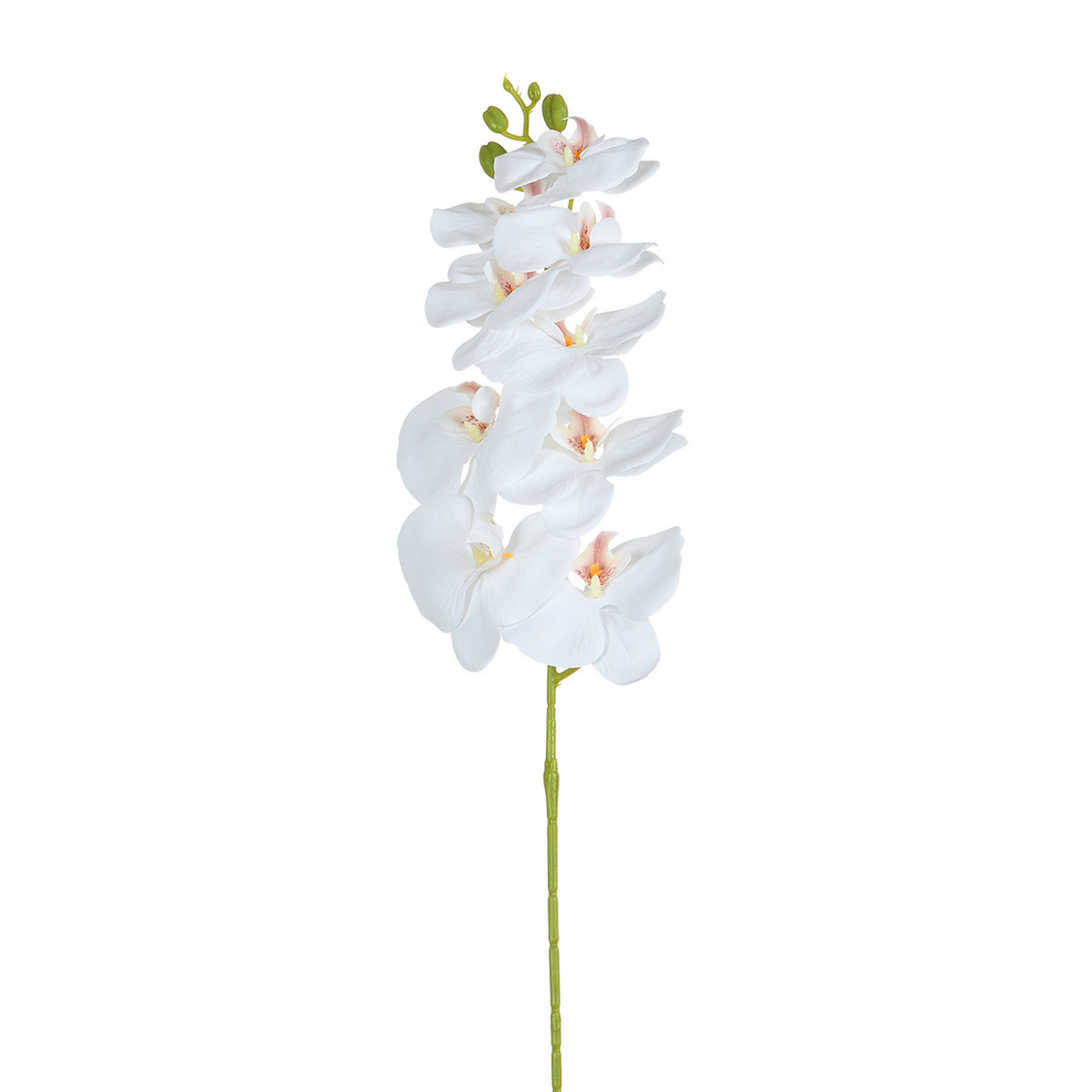 sia-deco-noah-tige-orchid-e-90-cm-blanc-jaune image 4