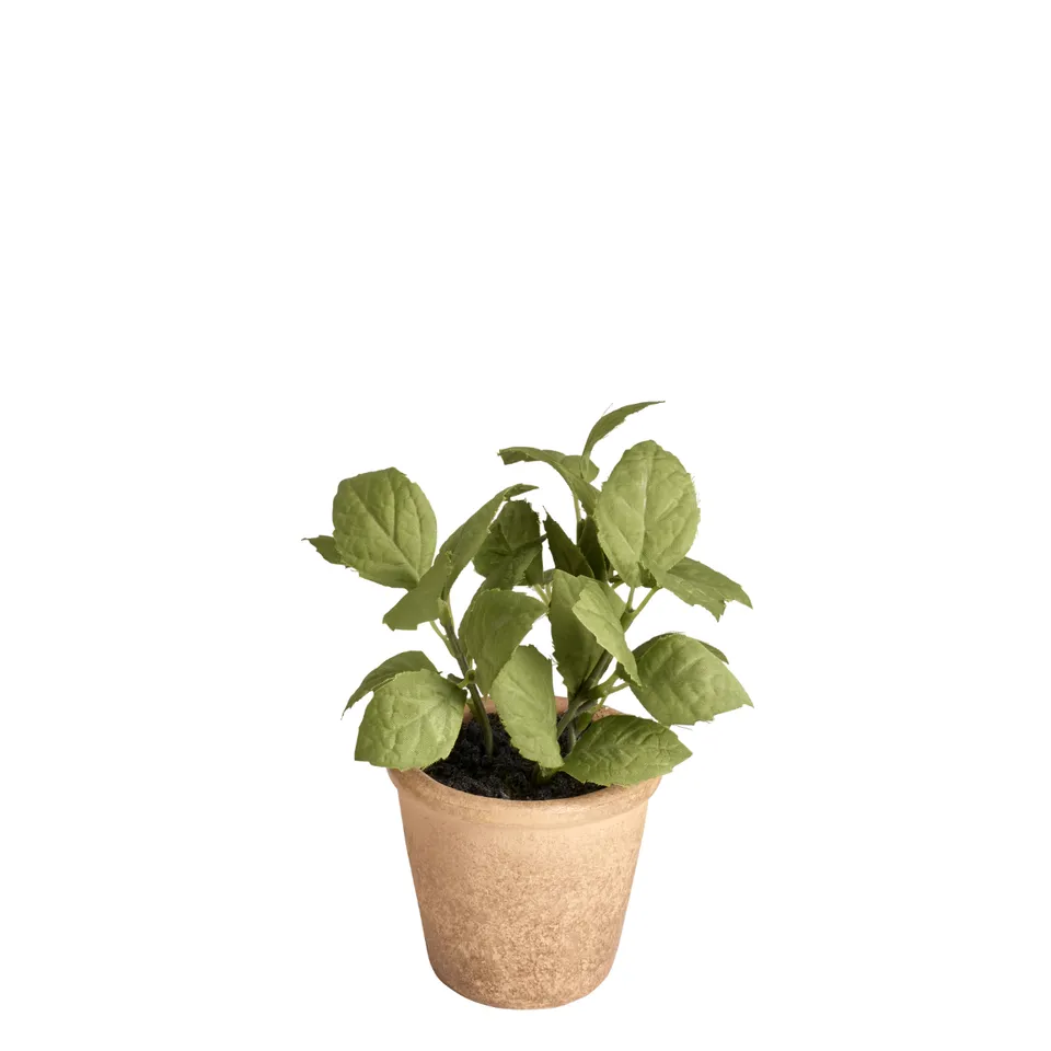 sia-deco-noah-basilic-en-pot-plante-artificielle-vert-14-cm image 1