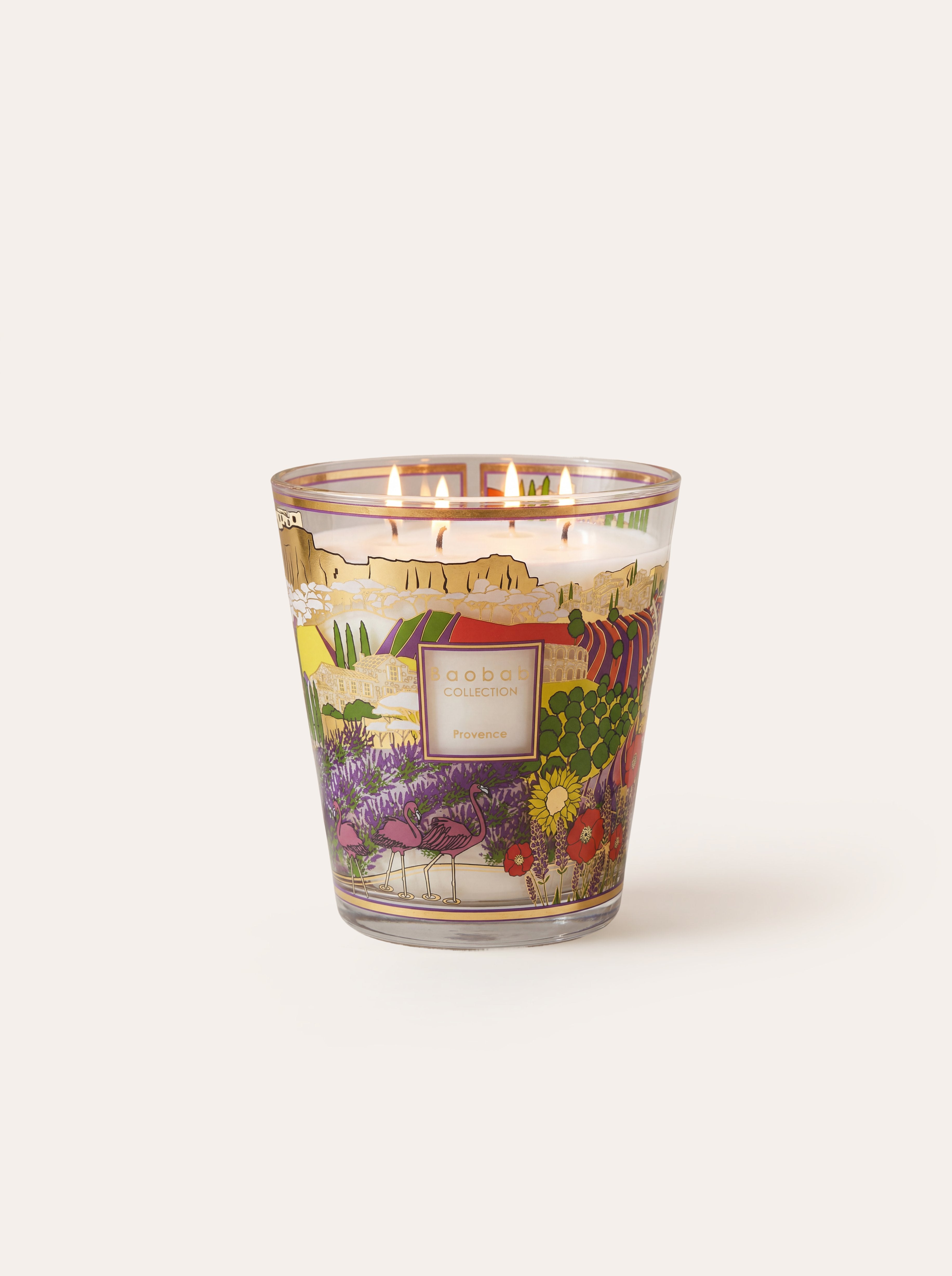 baobab-collection-provence-bougie-parfum-e-classique-s-rigraphi-e image 7