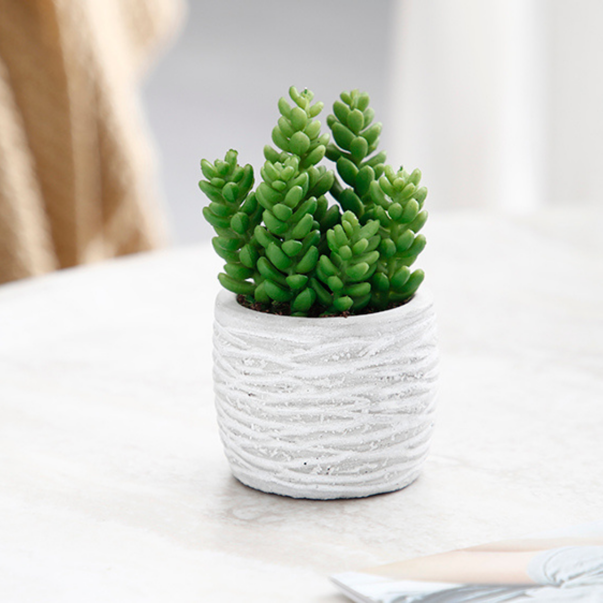 sia-noah-succulentes-plante-artificielle-pot-gris-14-cm image 7