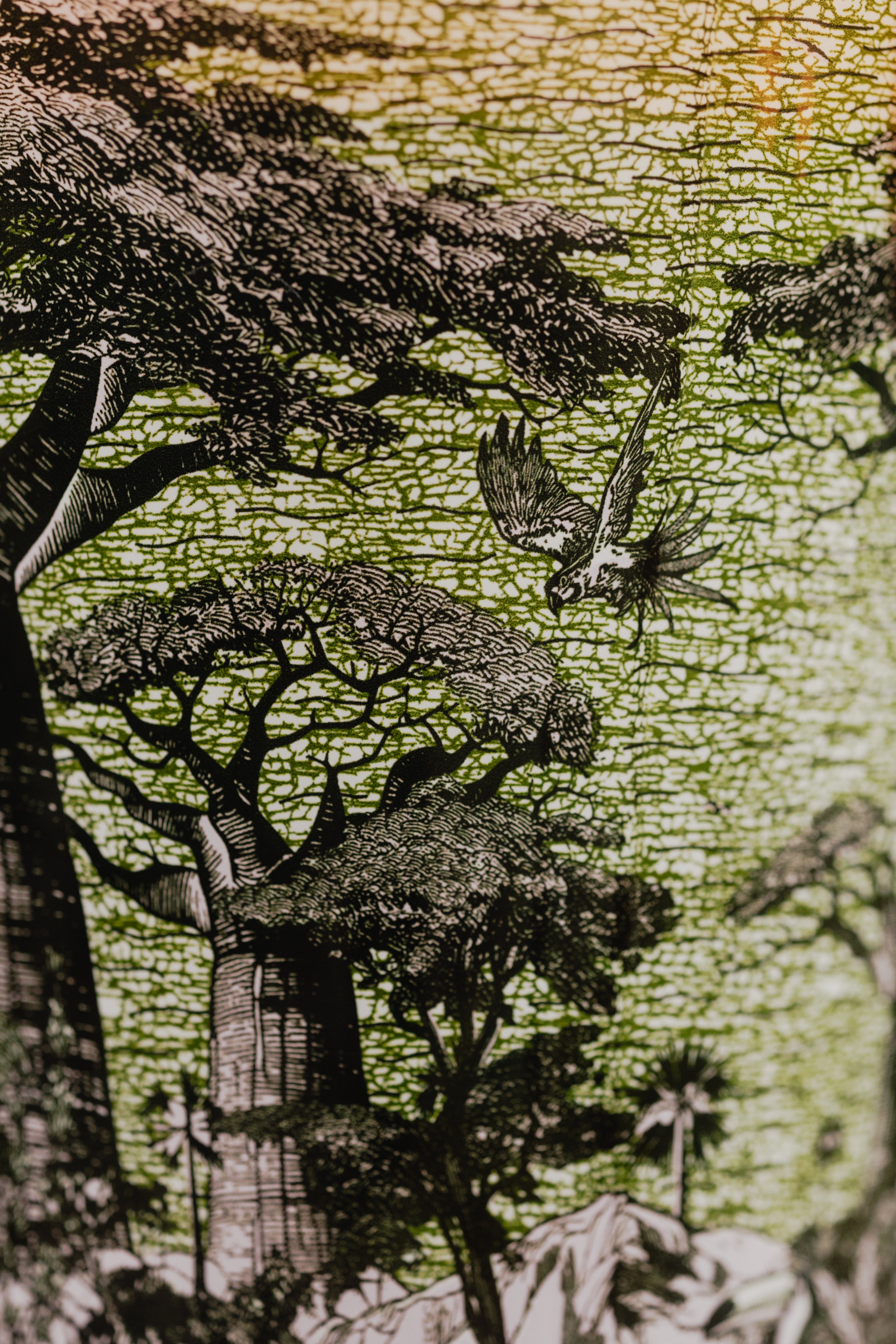 baobab-collection-touba-bougie-parfum-e-classique-sacred-trees image 4