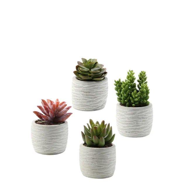 sia-noah-succulentes-plante-artificielle-pot-gris-14-cm image 1