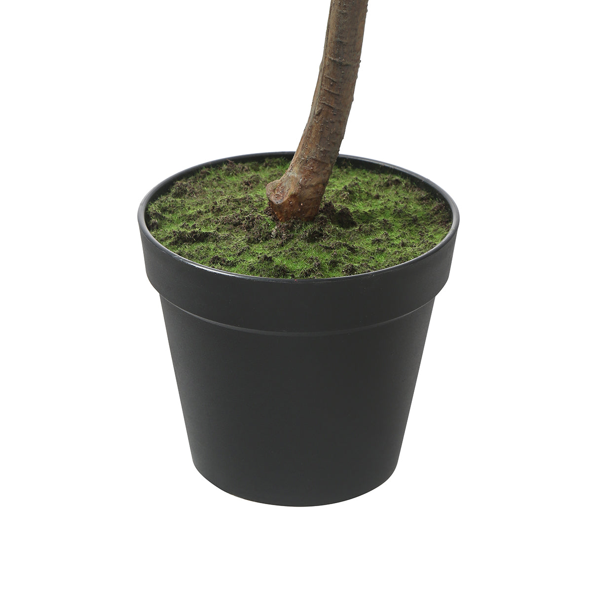 sia-noah-ficus-artificiel-vert-en-pot-165-cm-r-aliste image 5