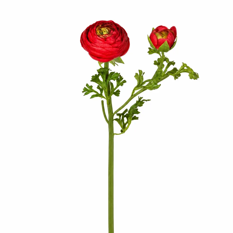 sia-noah-tige-renoncule-premium-56-cm-fleur-artificielle-rouge image 1