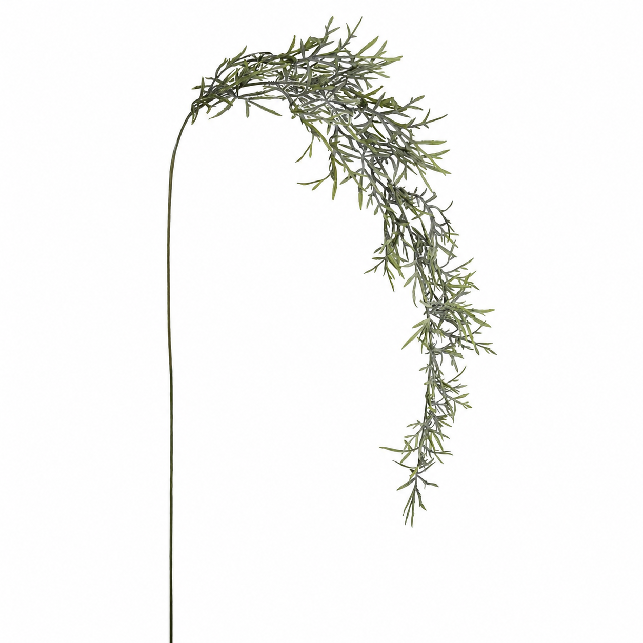 sia-noah-feuillage-herbe-tombante-129-cm-vert image 4