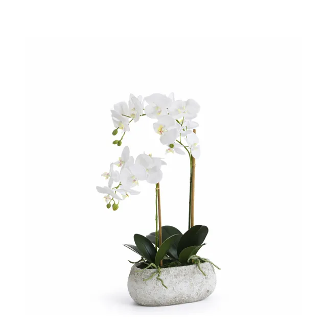 sia-deco-noah-s-r-na-orchid-e-artificielle-blanc-pot-65-cm image 1