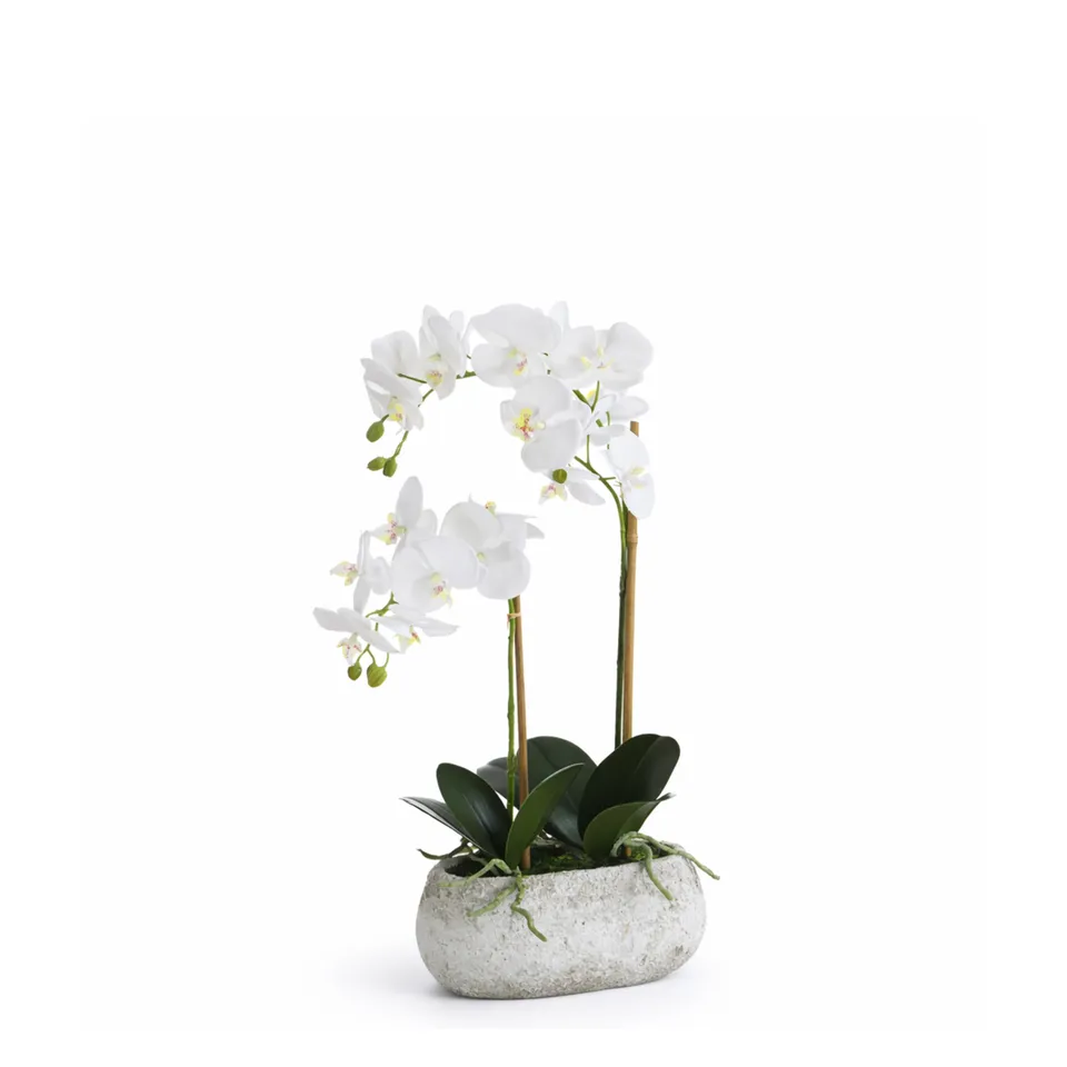 sia-deco-noah-s-r-na-orchid-e-artificielle-blanc-pot-65-cm image 1