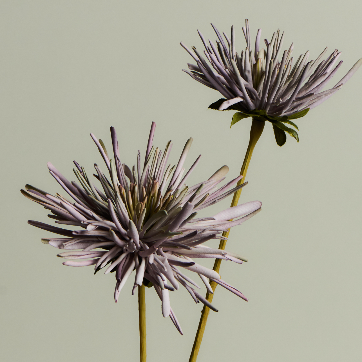 sia-noah-chrysanth-me-tokyo-tige-fleur-artificielle-mauve-73-cm image 5