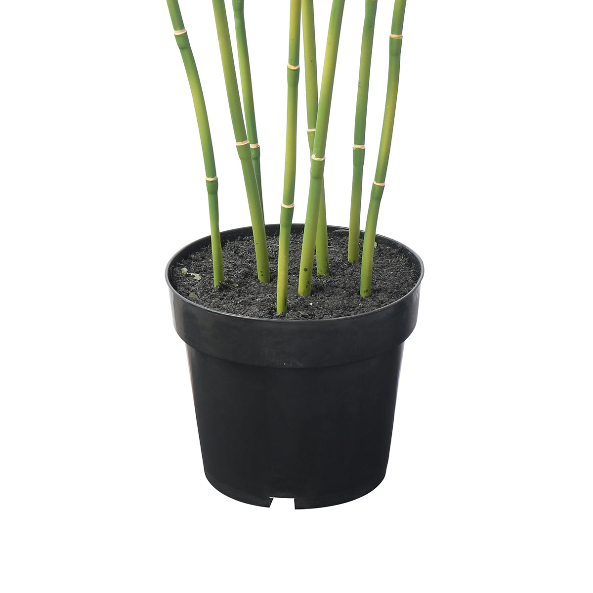 sia-deco-noah-arbre-bambou-en-pot-125-cm-vert image 4