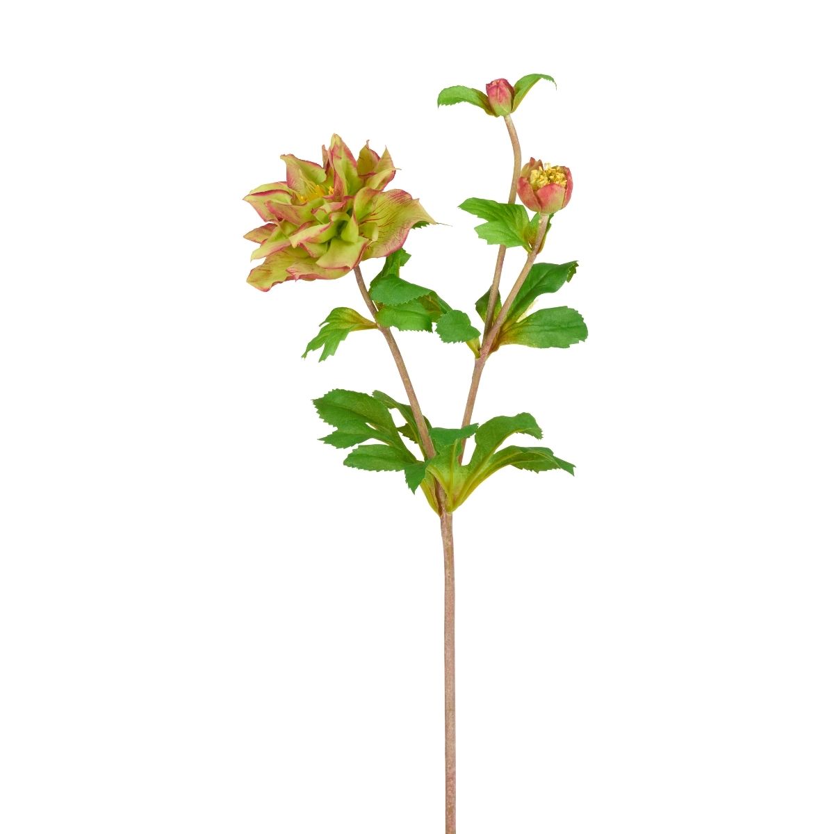 sia-noah-helleborus-tige-artificielle-49-cm-rose-jaune image 3