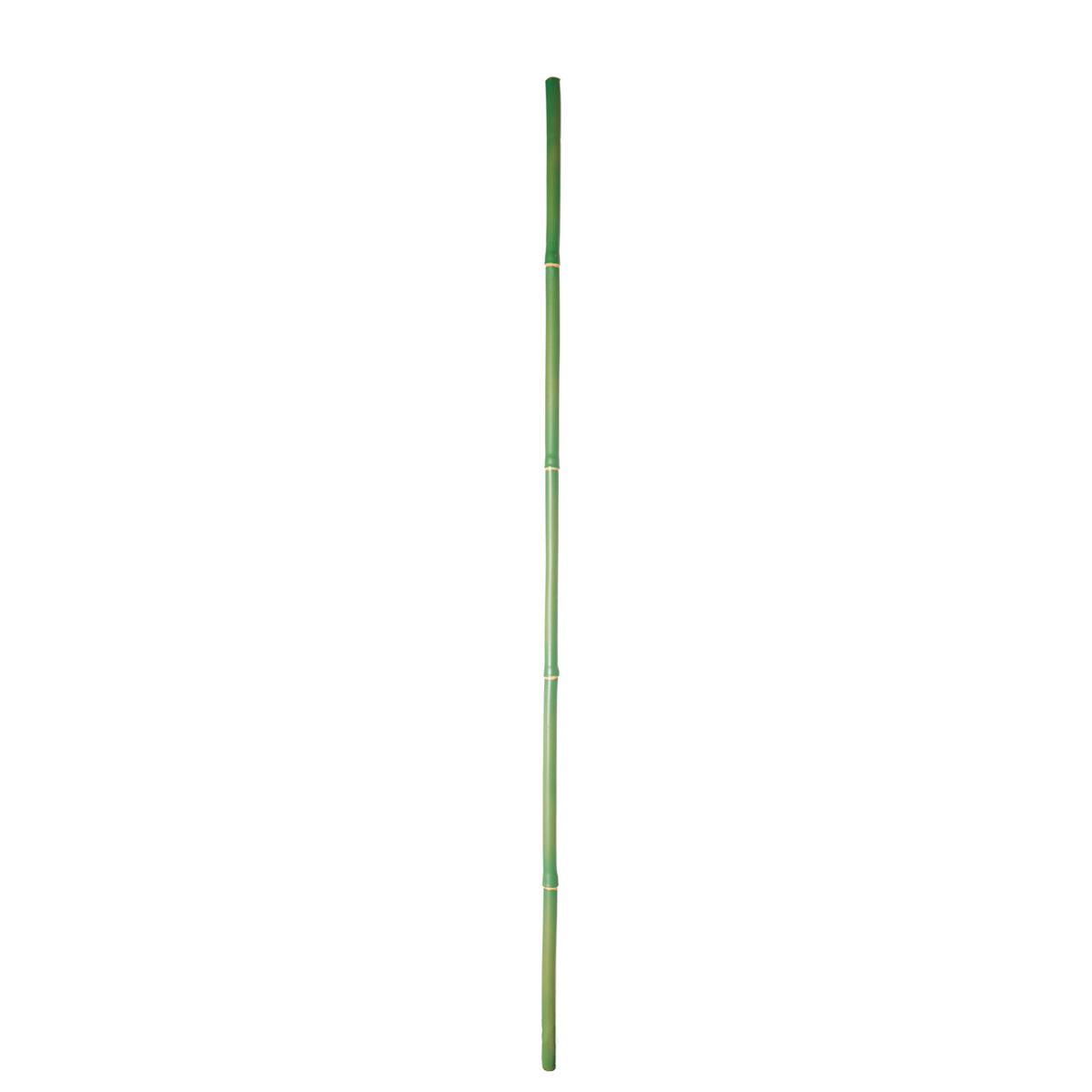 sia-noah-bambou-artificiel-101-cm-vert image 1