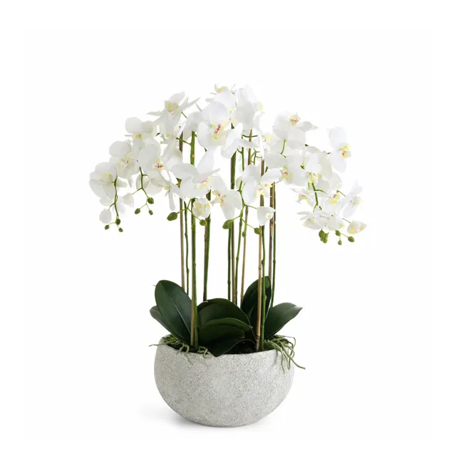 sia-noah-serena-orchid-e-artificielle-blanc-70-cm-vase-c-ramique image 1