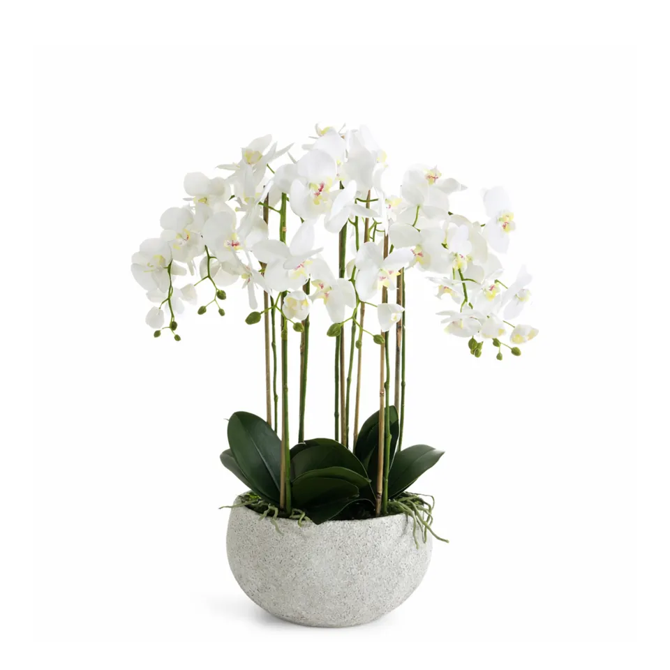 sia-noah-serena-orchid-e-artificielle-blanc-70-cm-vase-c-ramique image 1