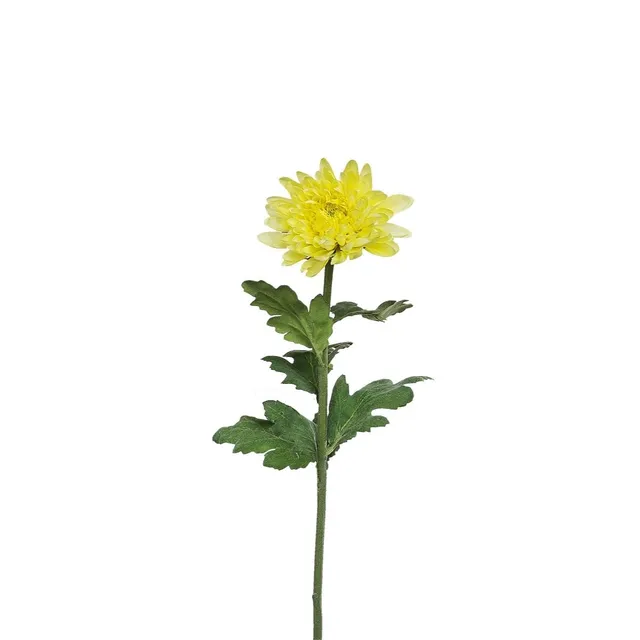 sia-deco-noah-tige-chrysanth-me-mum-jaune-47-cm image 1