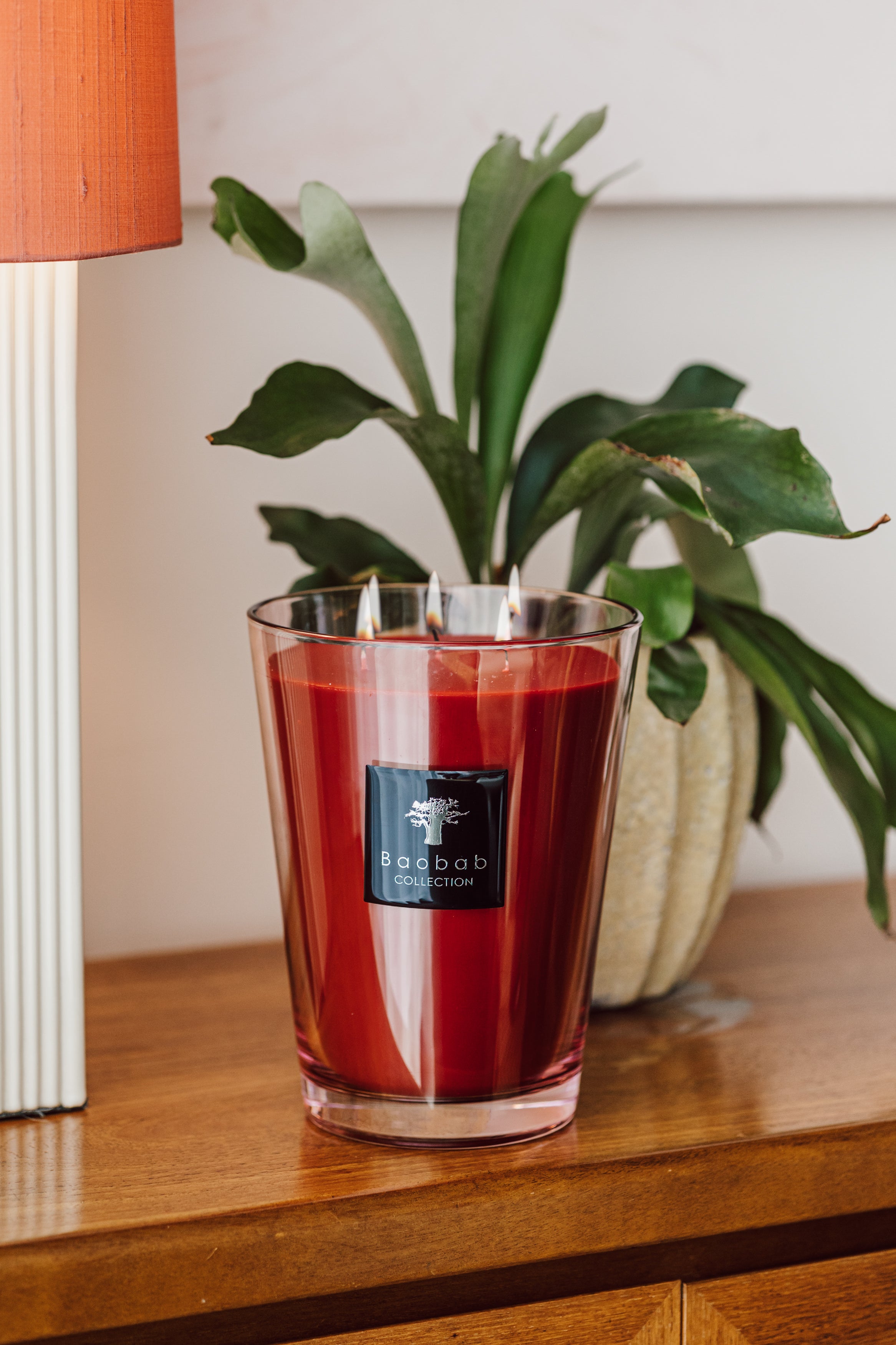 baobab-collection-maasai-spirit-bougie-parfum-e-classique image 3