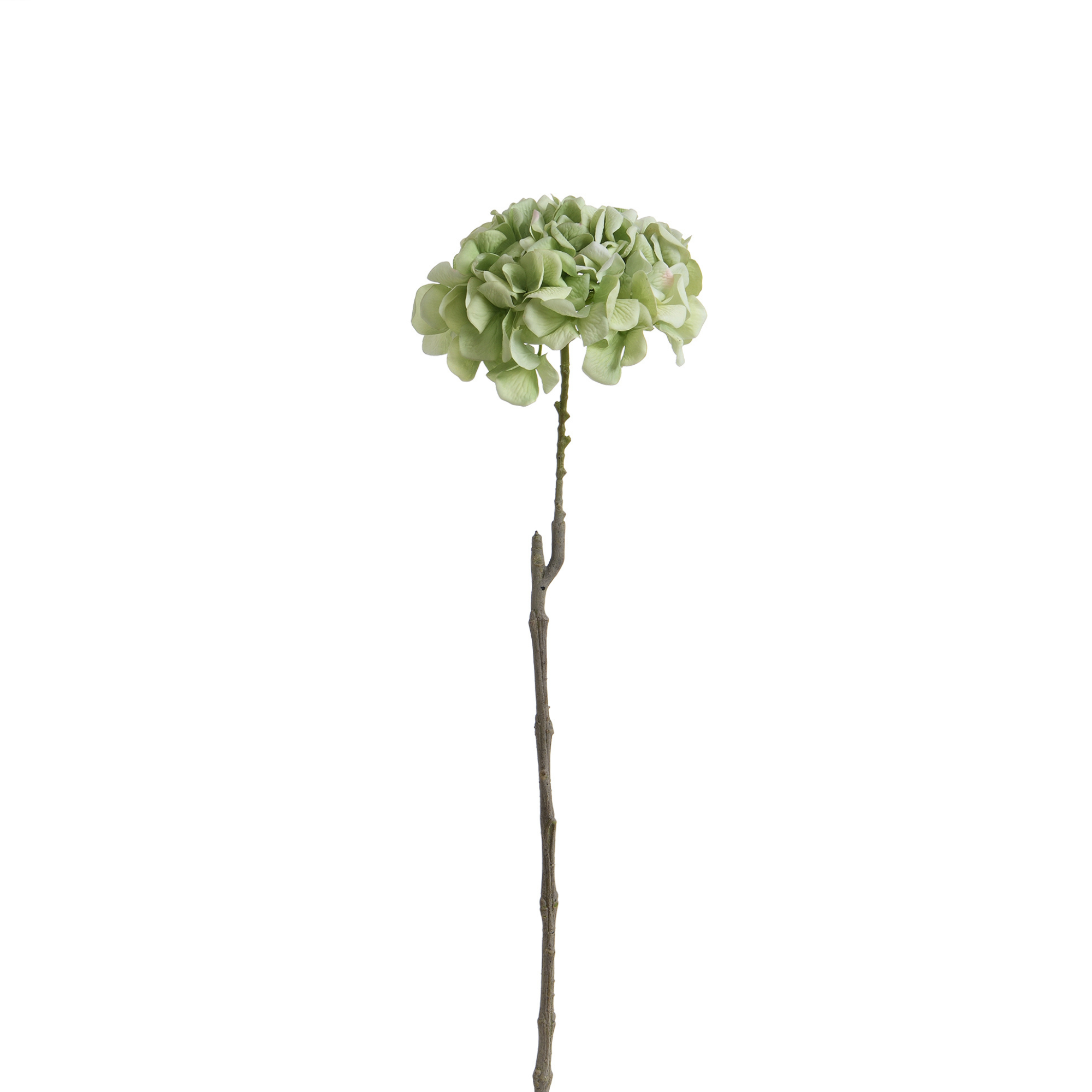 sia-deco-noah-tige-hortensia-artificiel-vert-63-cm-volume image 5
