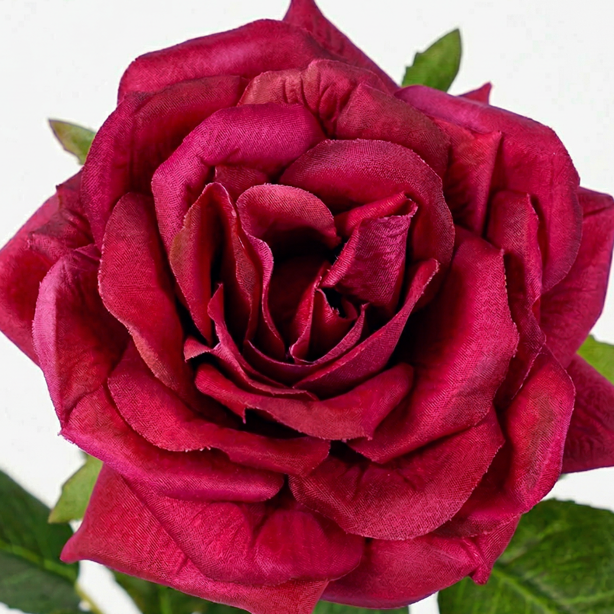 sia-noah-tige-rose-premium-framboise-50-cm image 3