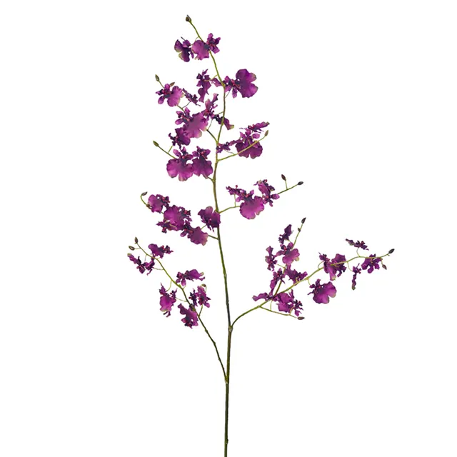 sia-deco-noah-tige-orchid-e-oncidium-violet-140-cm image 1