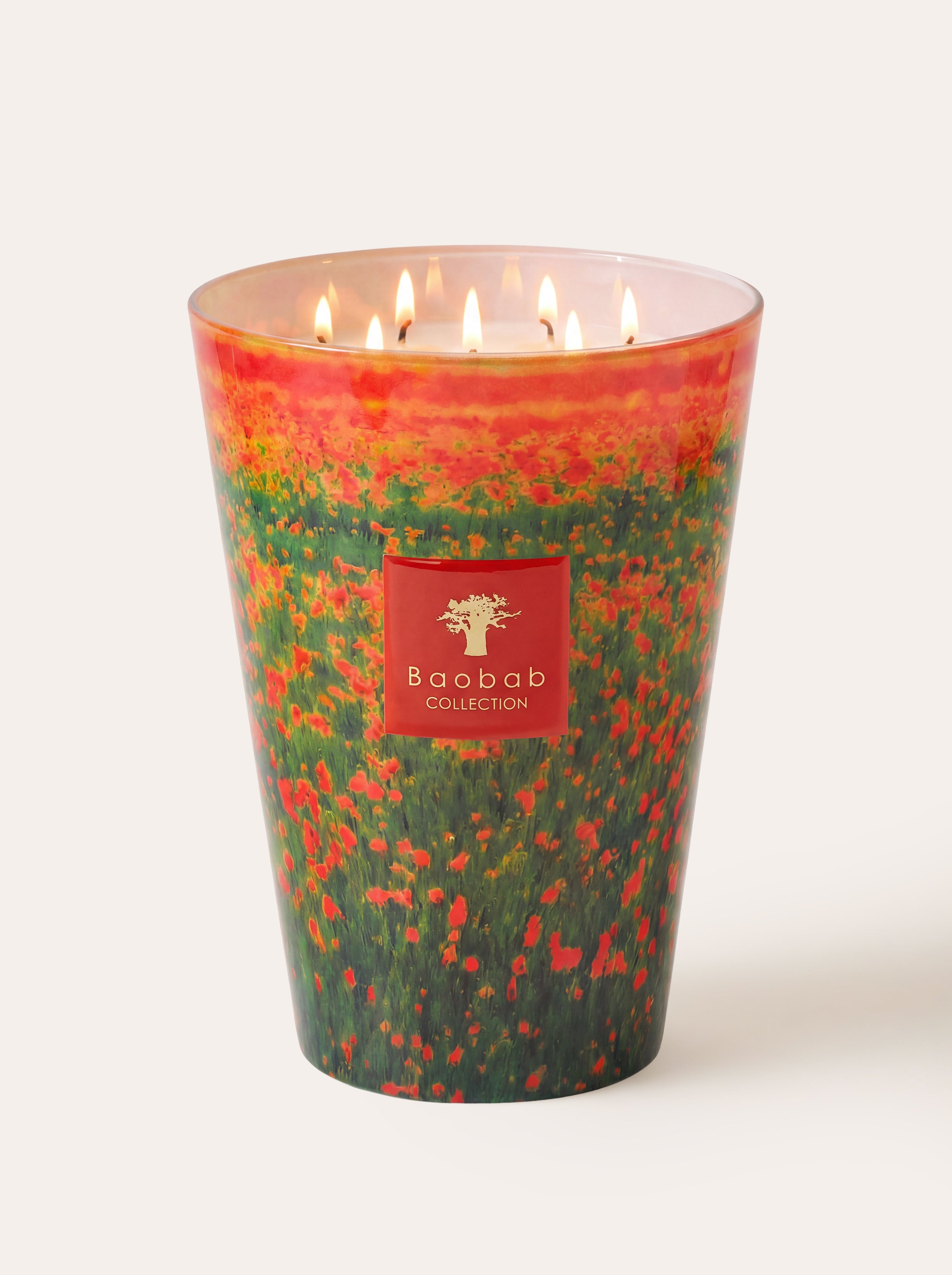baobab-arty-flowers-poppies-bougie-parfum-e-coquelicot image 5
