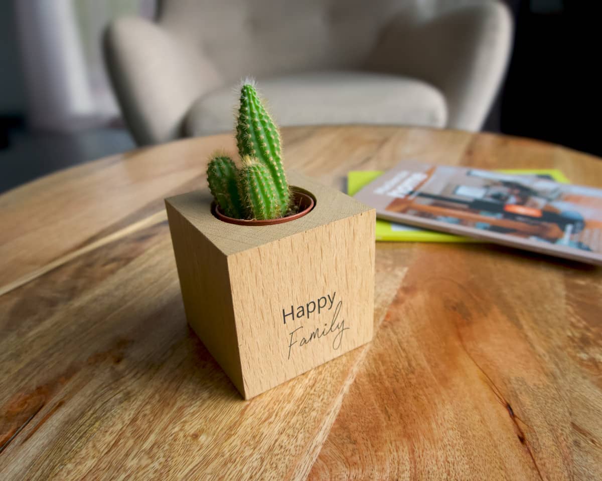 am-cla-happy-family-cache-pot-bois-cube-9x9-ch-ne image 2